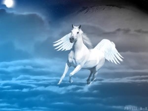 Pegasus