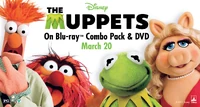 The Muppets DVD ad (3)