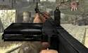FG42 WaW
