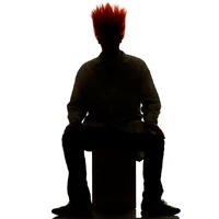 Wired-(2011)-Muppets wig