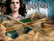 Hermioneswandlg