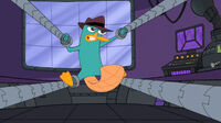 Perry trapped.jpg