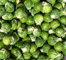 Brussels sprout