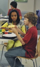 ANTFARM Y1 020 003