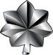 US Army OF-5.png