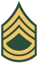US Army OR-6.png