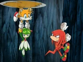Dg