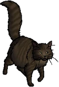 Duskfur.queen