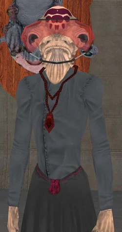 Kakirk.jpg