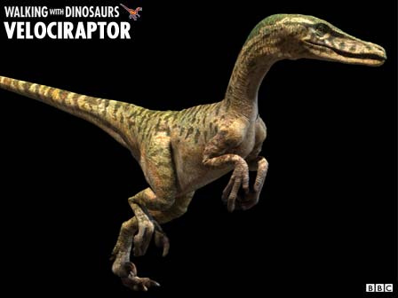 show me velociraptor