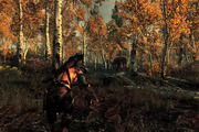 Hunting in Skyrim