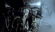 Xenomorph-scott-1