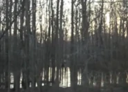 Vincent's first episode ending.
