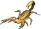 HO Tut Scorpion-icon