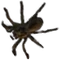 HO Tut Spider-icon