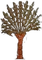 HO Tut Tree-icon