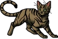 Longtail.apprentice