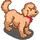 Labradoodle-icon