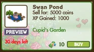 Swan Pond Market Info
