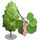 European Aspen Tree-icon
