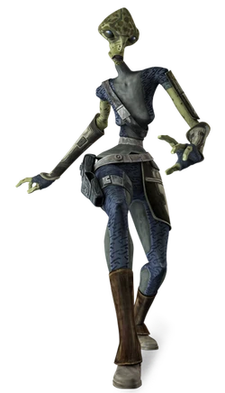 TwazziDetail-SWE.png