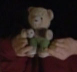 Deanna's teddy bear