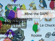 Rookie (8)