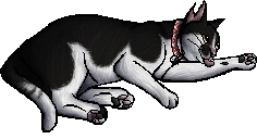 Jacques.kittypet.png