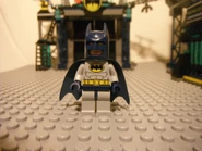 6860RevNCustoms 007