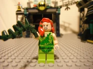 6860RevNCustoms 023