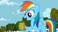 Rainbow Dash all right S2E15