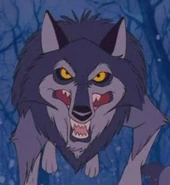 Wolf head