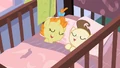 Sleeping twins S2E13.png