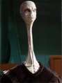 Quermian AA.jpg