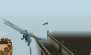 Clan Dragon flying