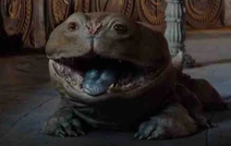 Woola-2