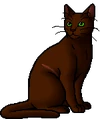 Brackenfur.warrior.alt.png