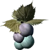 JazbayGrapesRender