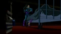 Ivo DCAU 001