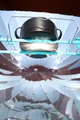 Concentrated rays.jpg