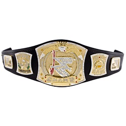 old wwe champions