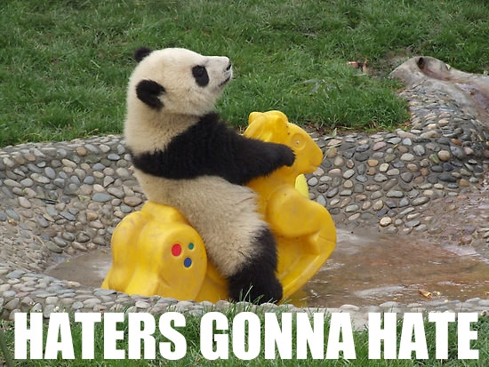 Img-haters-gonna-hate-panda-352.jpeg