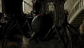 Spider.png