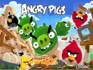 NewSplashScreenAngrypigs