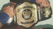 Smokey Mountain Champion