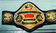 Smokey Mountain Tag Team Champion