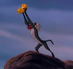 Rafiki presenta Simba