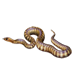 Item sandpython 01.png