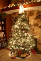 Thumbnail for version as of 19:04, February 7, 2012