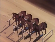 GhostlyHorses